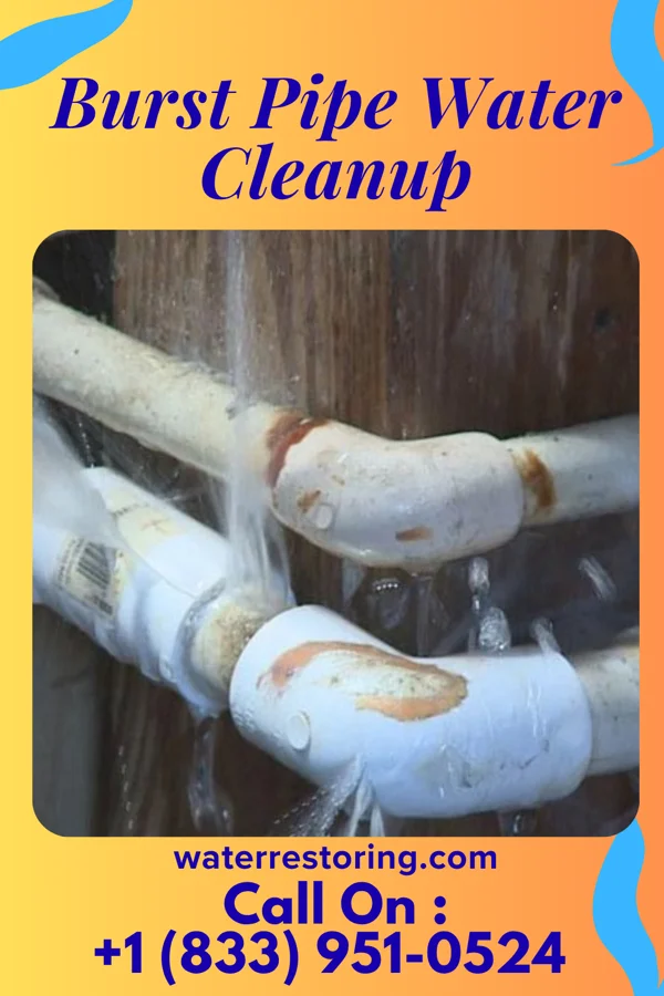 Burst Pipe Water Cleanup in Plandome, NY