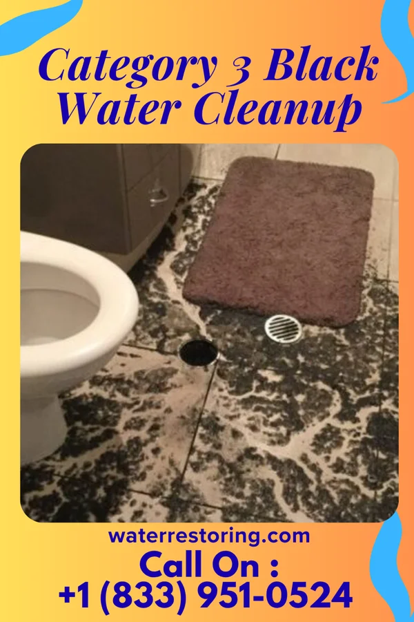 Category 3 Black Water Cleanup in Plandome, NY