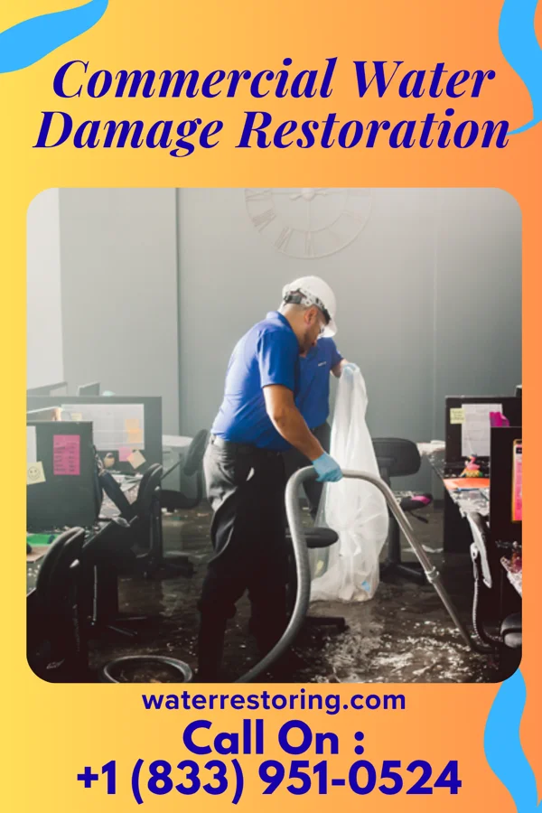 Commercial Water Damage Restoration in Plandome, NY