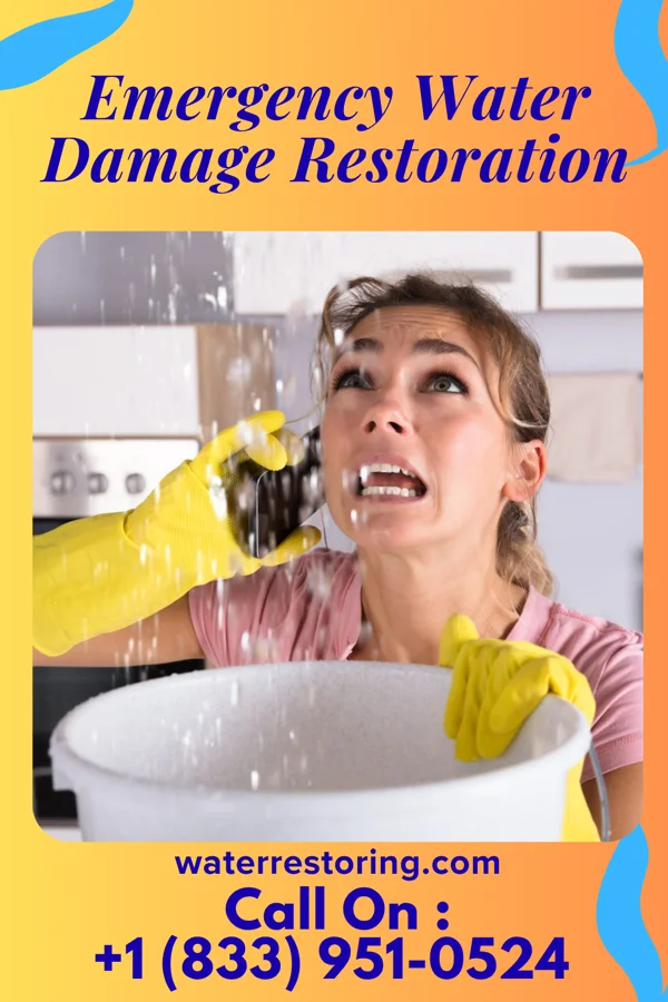 Emergency Water Damage Restoration in Plandome, NY