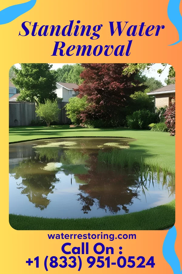 Standing Water Removal in Plandome, NY